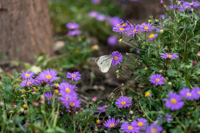 微信图片_20180430180325.jpg 微信图片_20180430180325.jpg