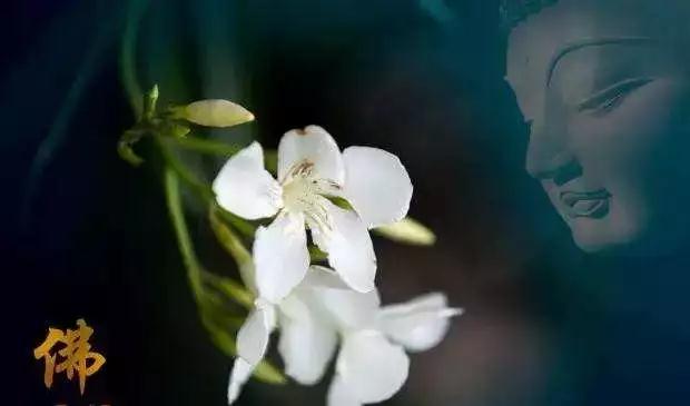 微信图片_20181127195153.jpg 微信图片_20181127195153.jpg