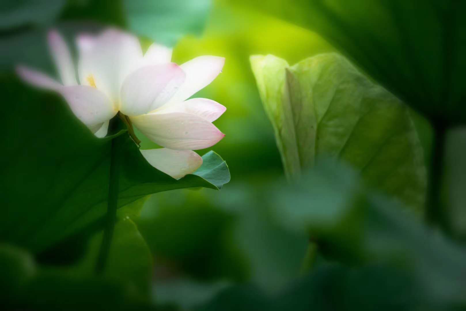 微信图片_202006221107384.jpg 微信图片_202006221107384.jpg